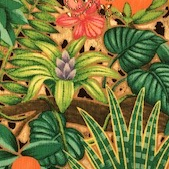 🍂秋物入荷🍂
