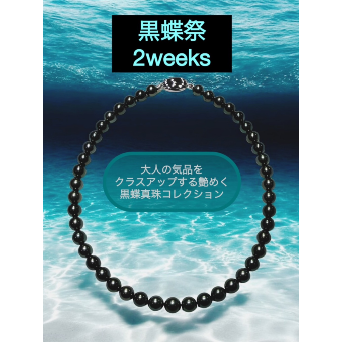 『黒蝶祭 ２weeks』