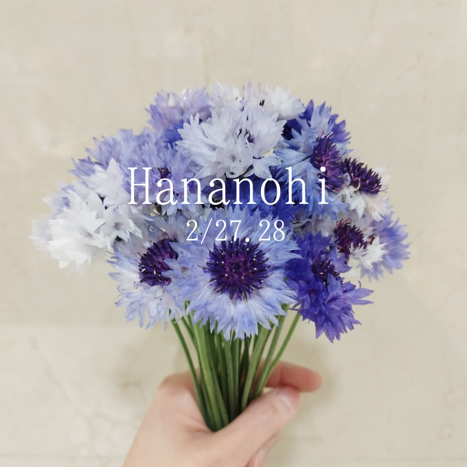 \\27日、28日限定！//　８７(ハナ)の日❣　おうちにお花を飾りませんか💕