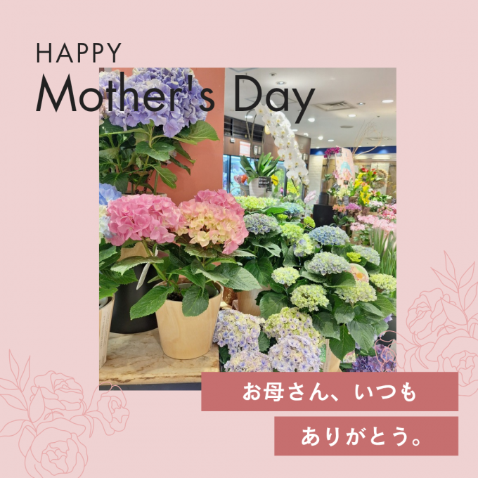 💐5.10母の日💐