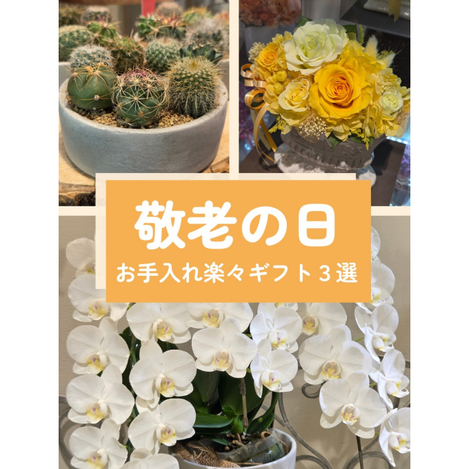 👴9/23敬老の日👵お手入れ楽々ギフトのご紹介！