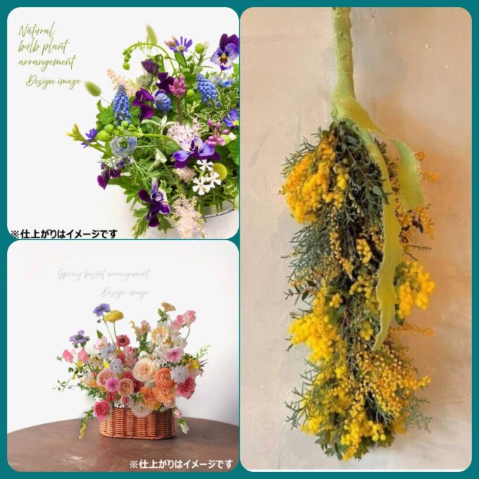 2026/1/3,4限定✨福袋✨販売