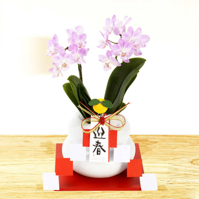 🎍お正月商品🎍