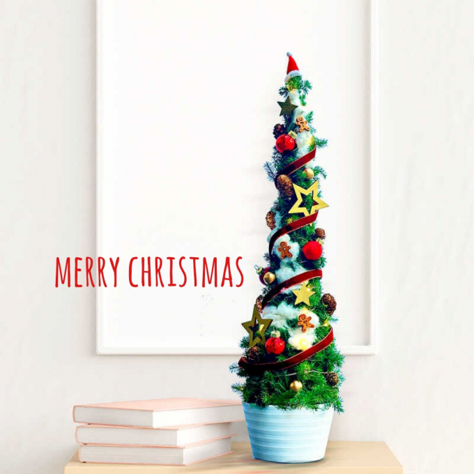 クリスマスにお花のギフトはいかがですか🎄