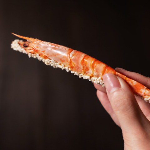 敬老の日＝海老の日🦐