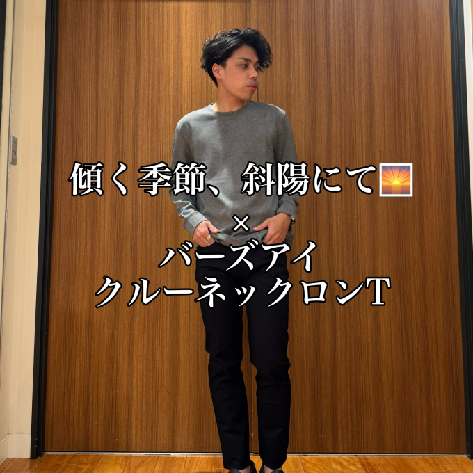 傾く季節、斜陽にて🌅 × バーズアイ クルーネックロンT
