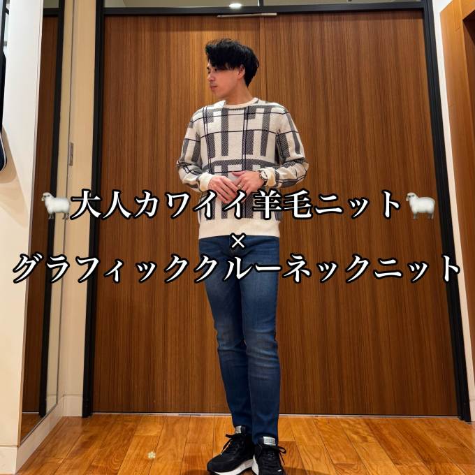 🐑大人カワイイ羊毛ニット🐑  ×  グラフィッククルーネックニット