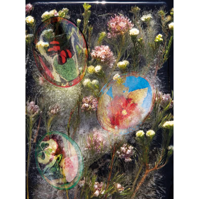 イタリア発老舗ジュエリーブランド【PELLINI】