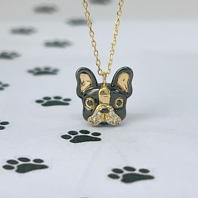 キュートなボストンテリア🐾
