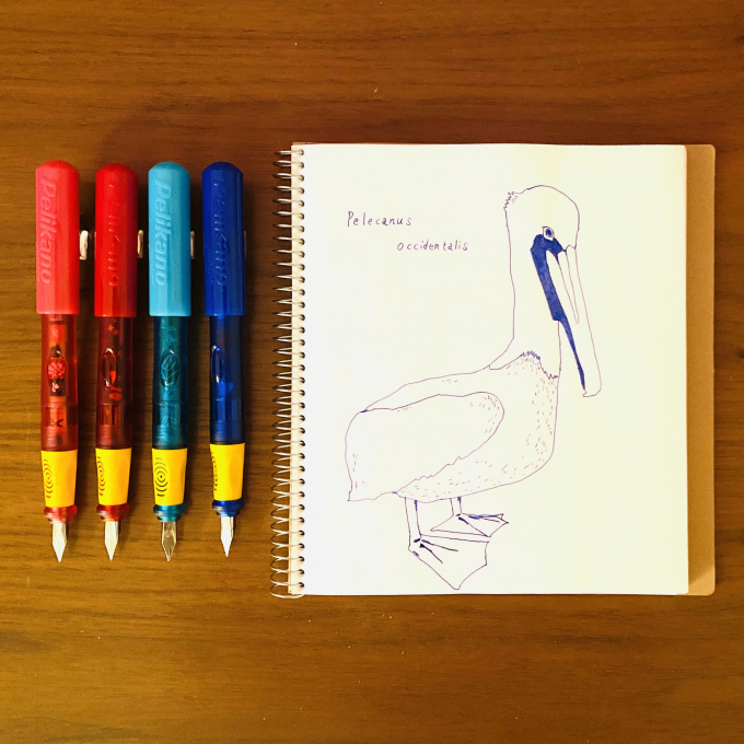 万年筆✒︎で絵を書いてみませんか✨ペリカーノジュニア万年筆、お手軽価格の税込¥1,870です🌞