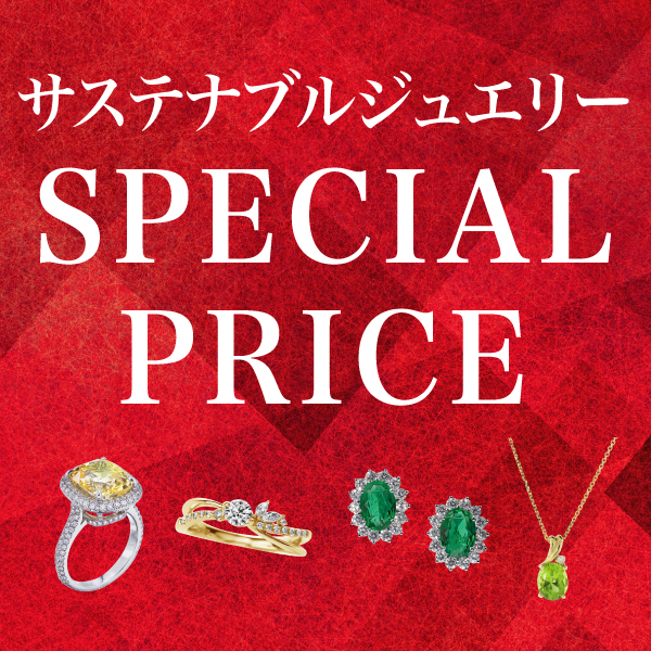 【SALE🔥】サステナブルジュエリー💍