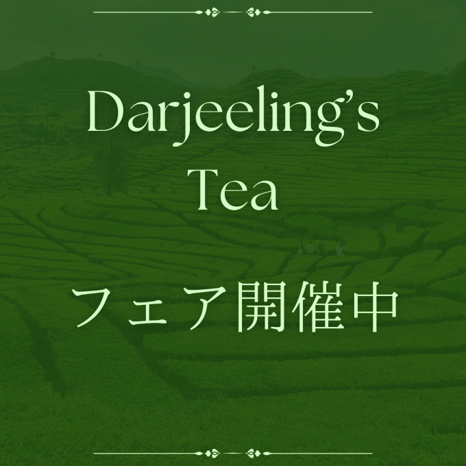 ダージリンフェア開催中