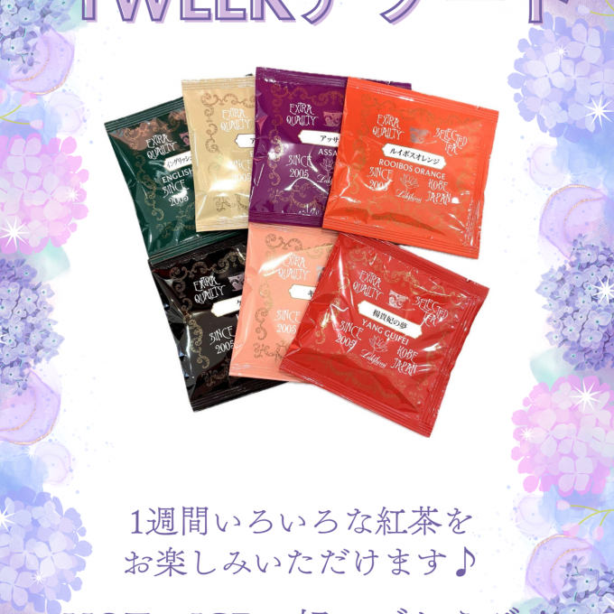 1week紅茶アソート